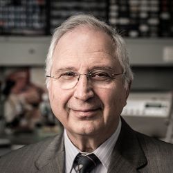 Professor Anatoly Rosenfeld