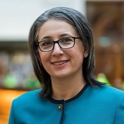 Professor Shookoofeh Shamsi